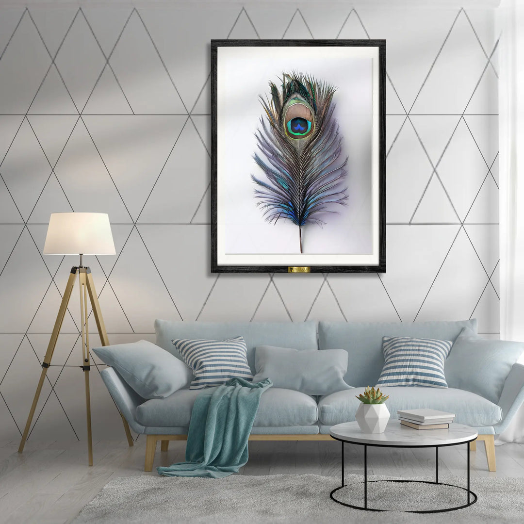 Peacock's Grace