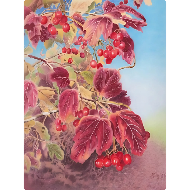 Cherry Dreams
