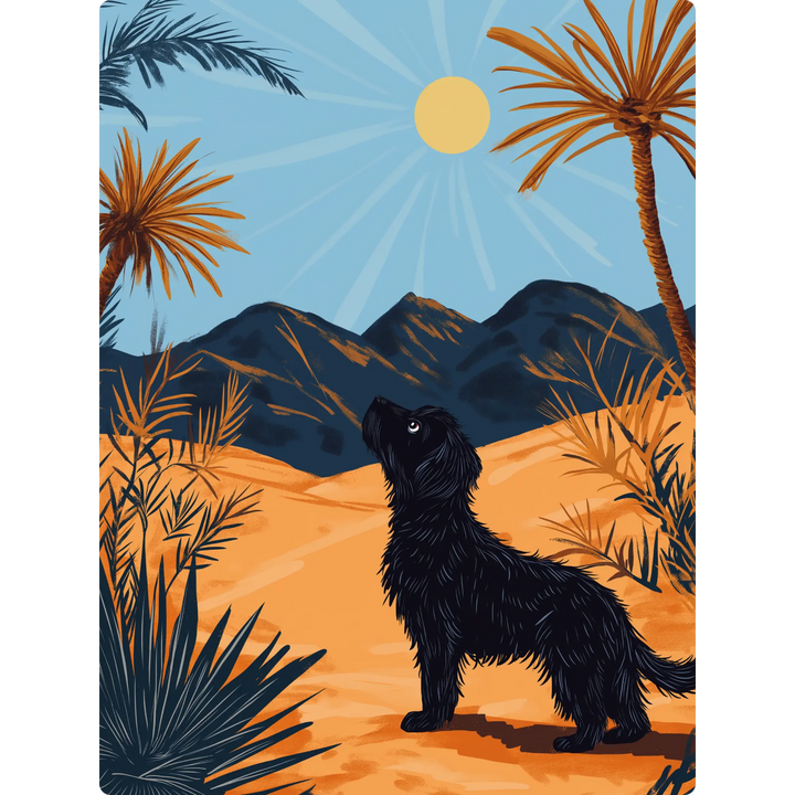Desert Daydream