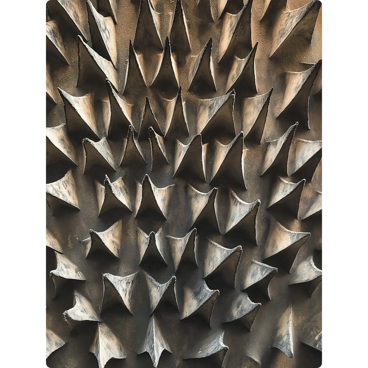 The Sculpted Edge