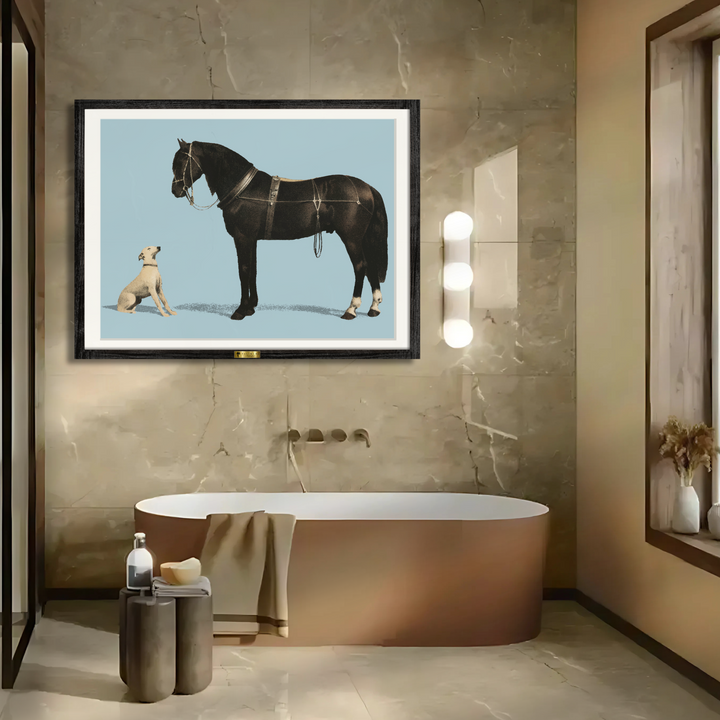 Equine Companions