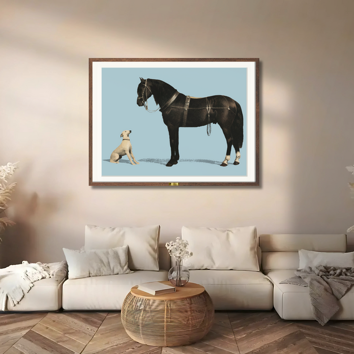 Equine Companions