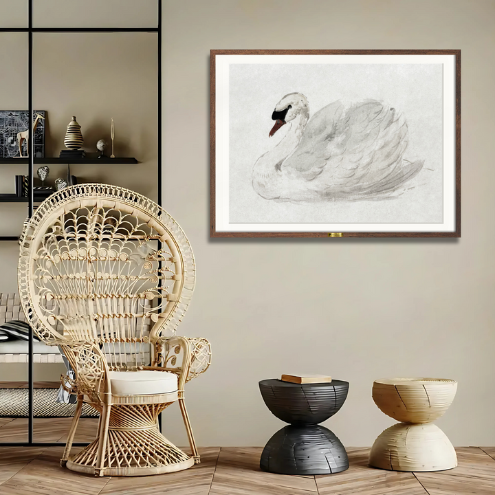 Mute Swan by John James Audubon