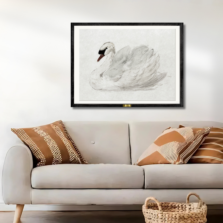 Mute Swan by John James Audubon
