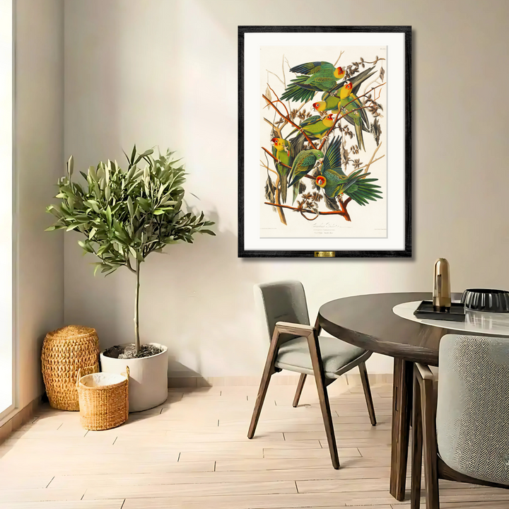 Carolina Parakeets on Branches