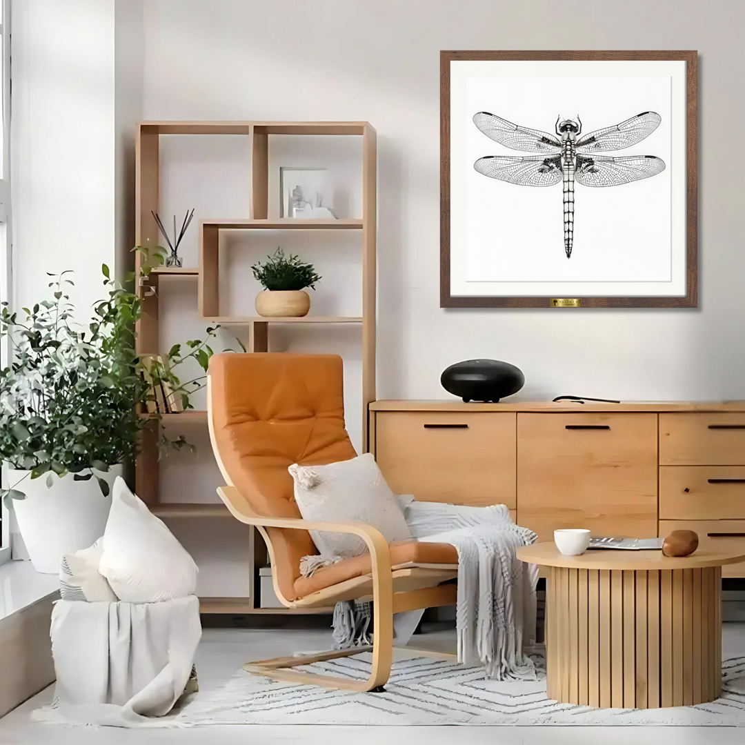 Dragonfly's Details