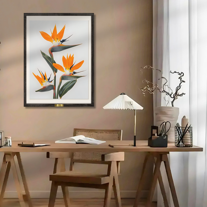 Bird of Paradise