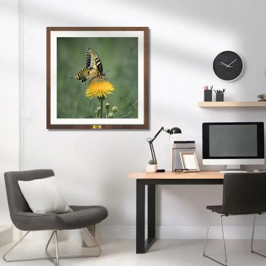 Butterfly’s Bliss