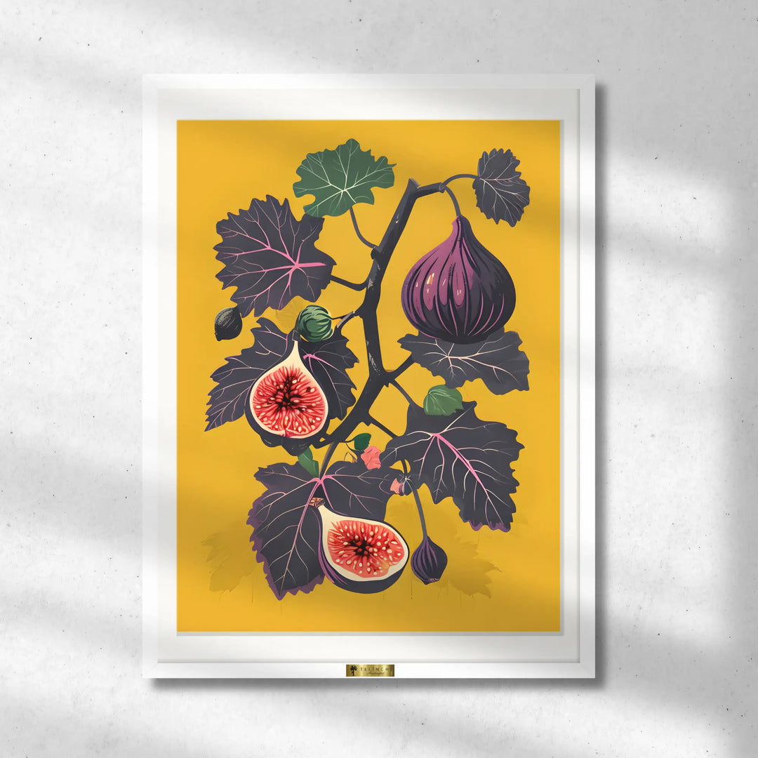 Fig Fantasy