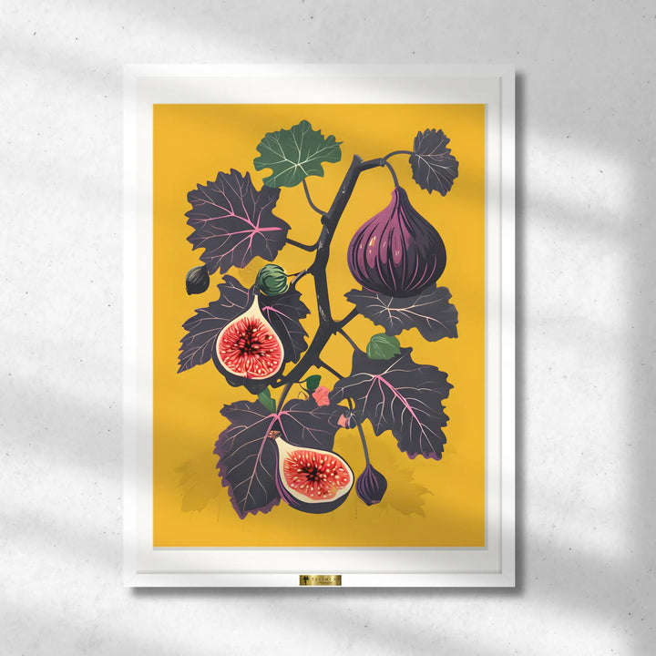 Fig Fantasy
