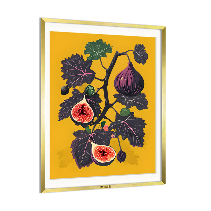 Fig Fantasy