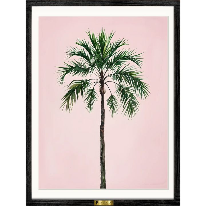 Palm Perfection