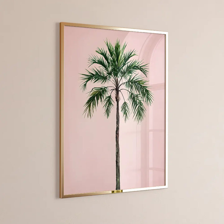 Palm Perfection