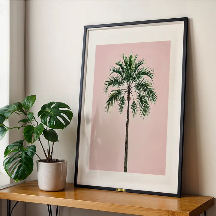Palm Perfection