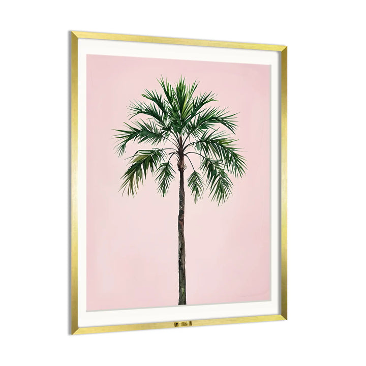 Palm Perfection