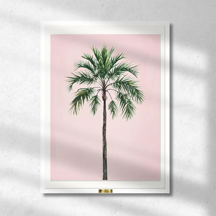 Palm Perfection