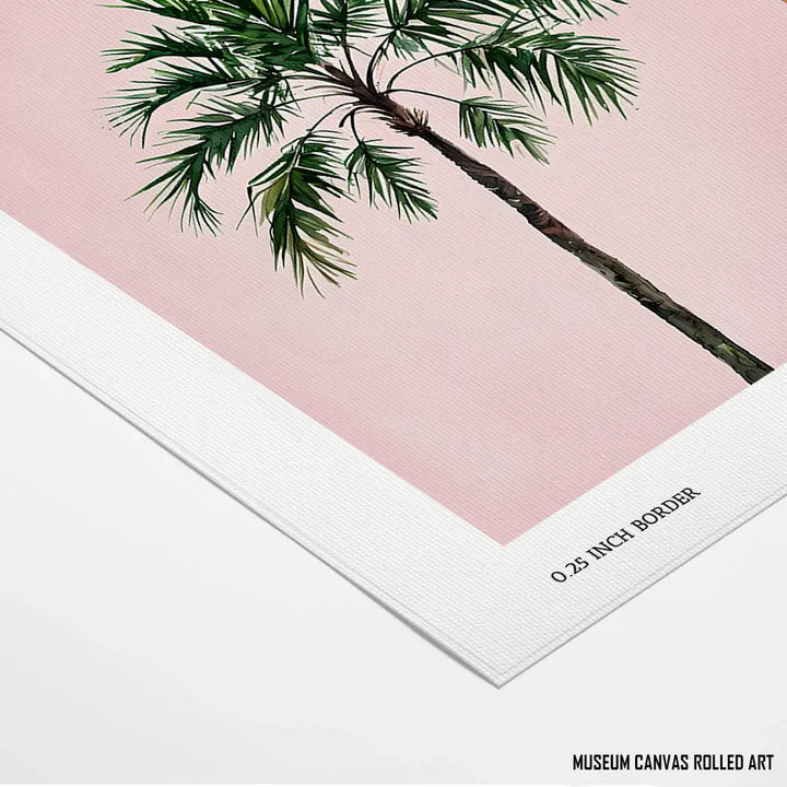 Palm Perfection
