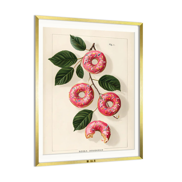 Doughnut Botanica