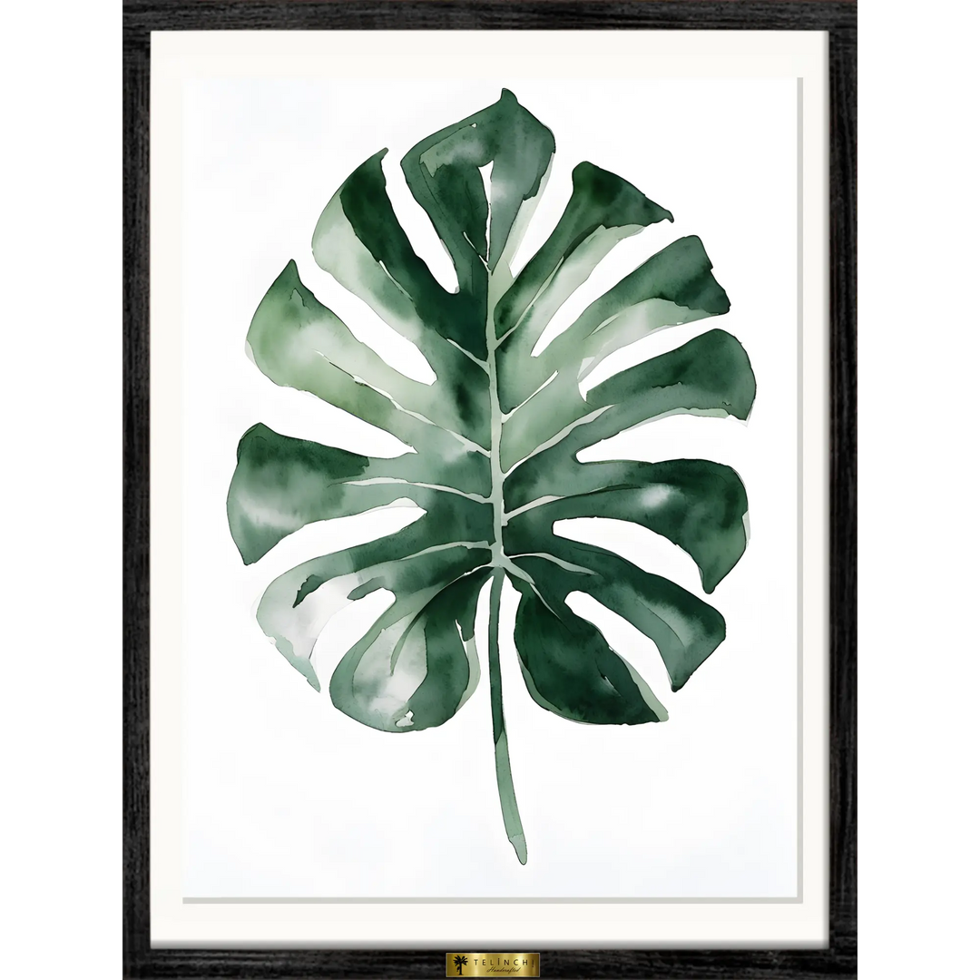 Monstera Majesty