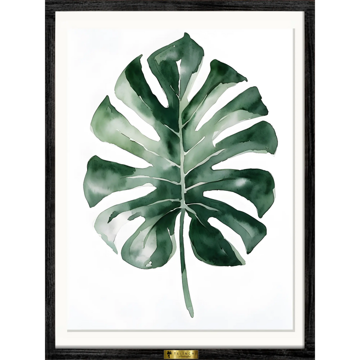Monstera Majesty
