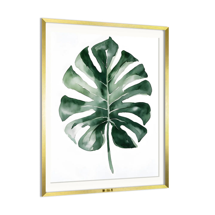 Monstera Majesty