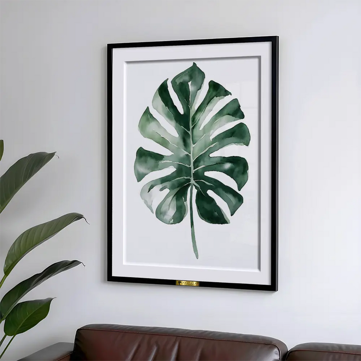 Monstera Majesty