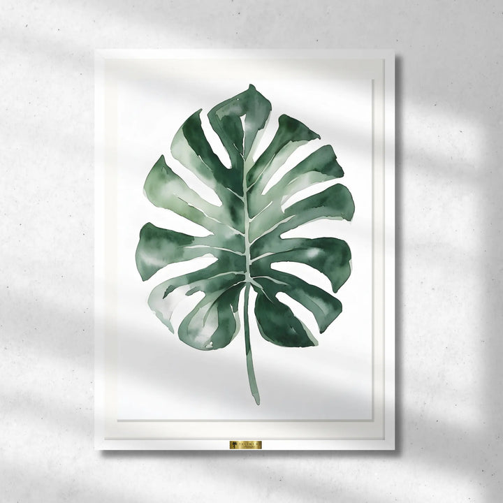 Monstera Majesty