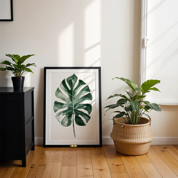 Monstera Majesty
