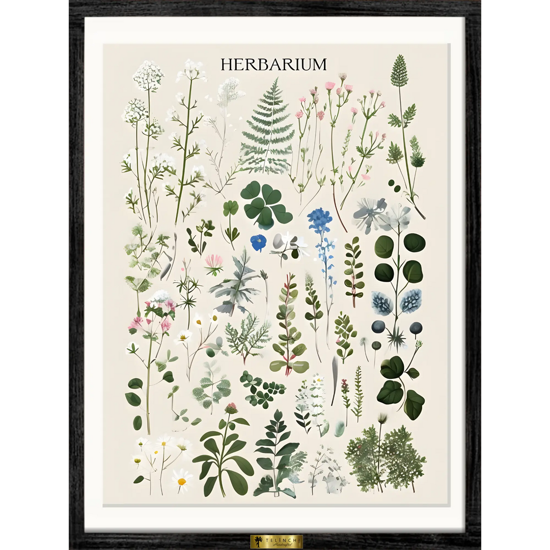 Herbal Harmony