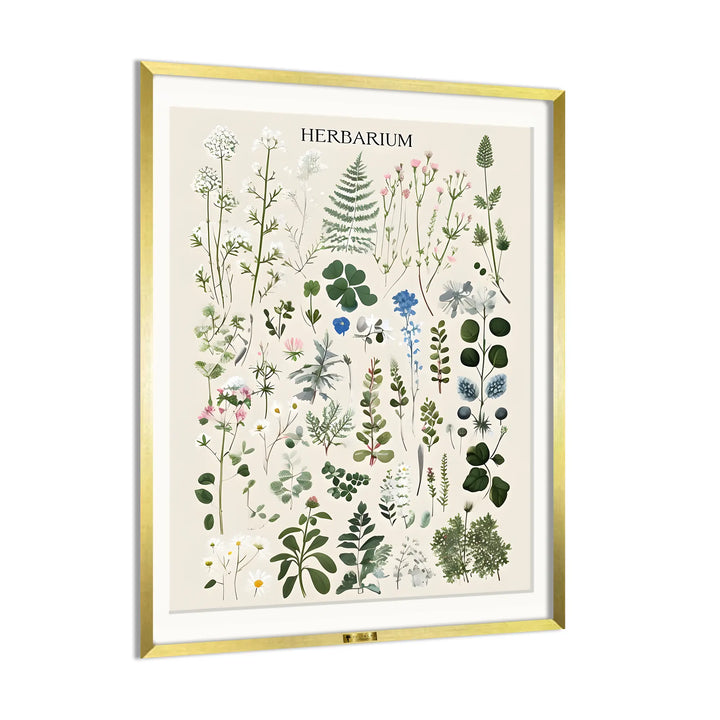 Herbal Harmony