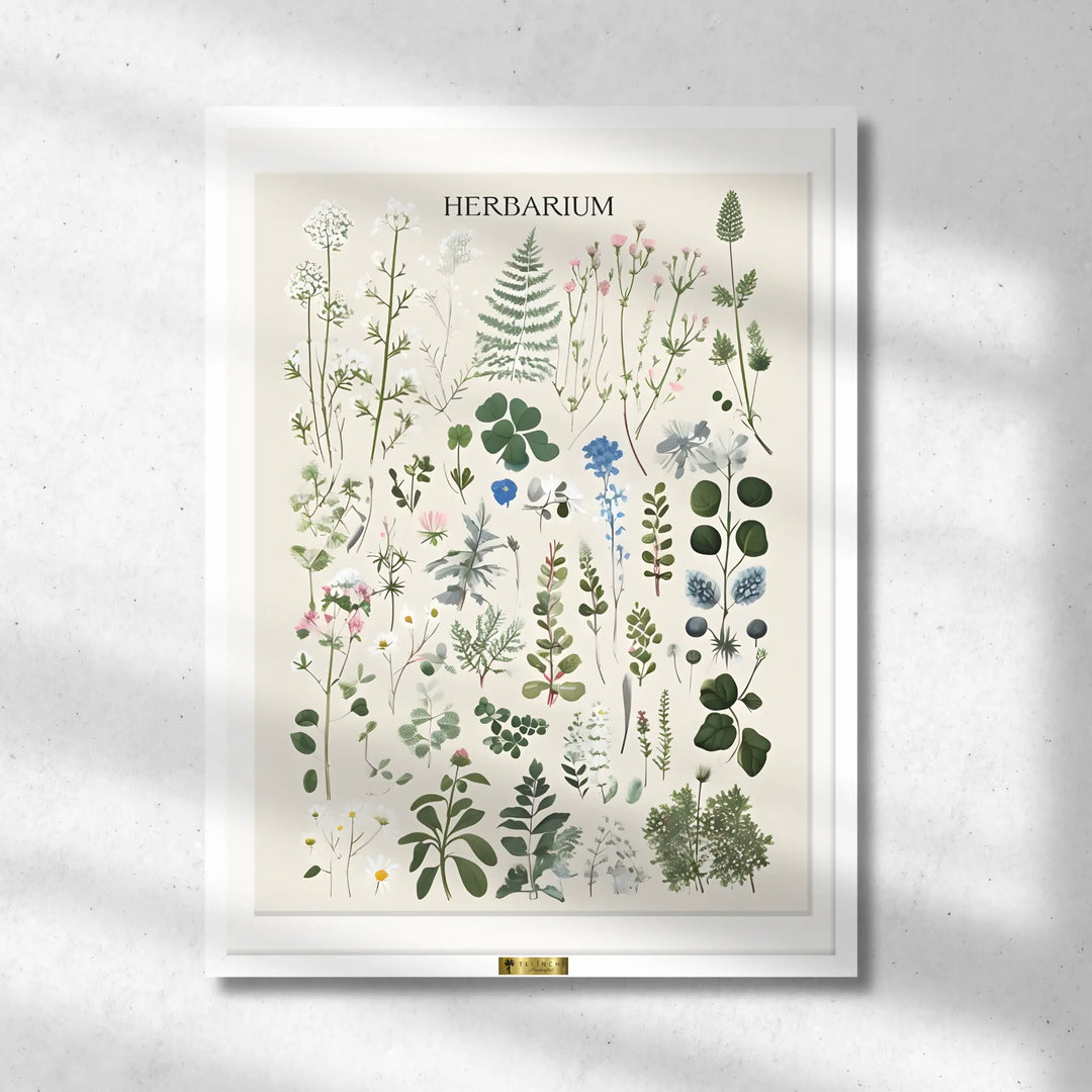 Herbal Harmony