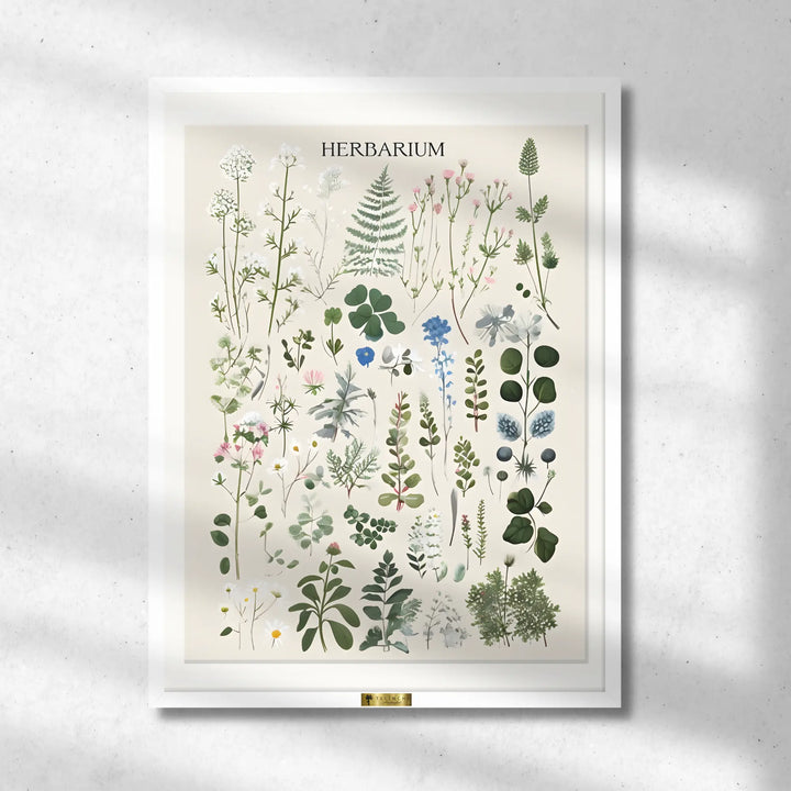 Herbal Harmony