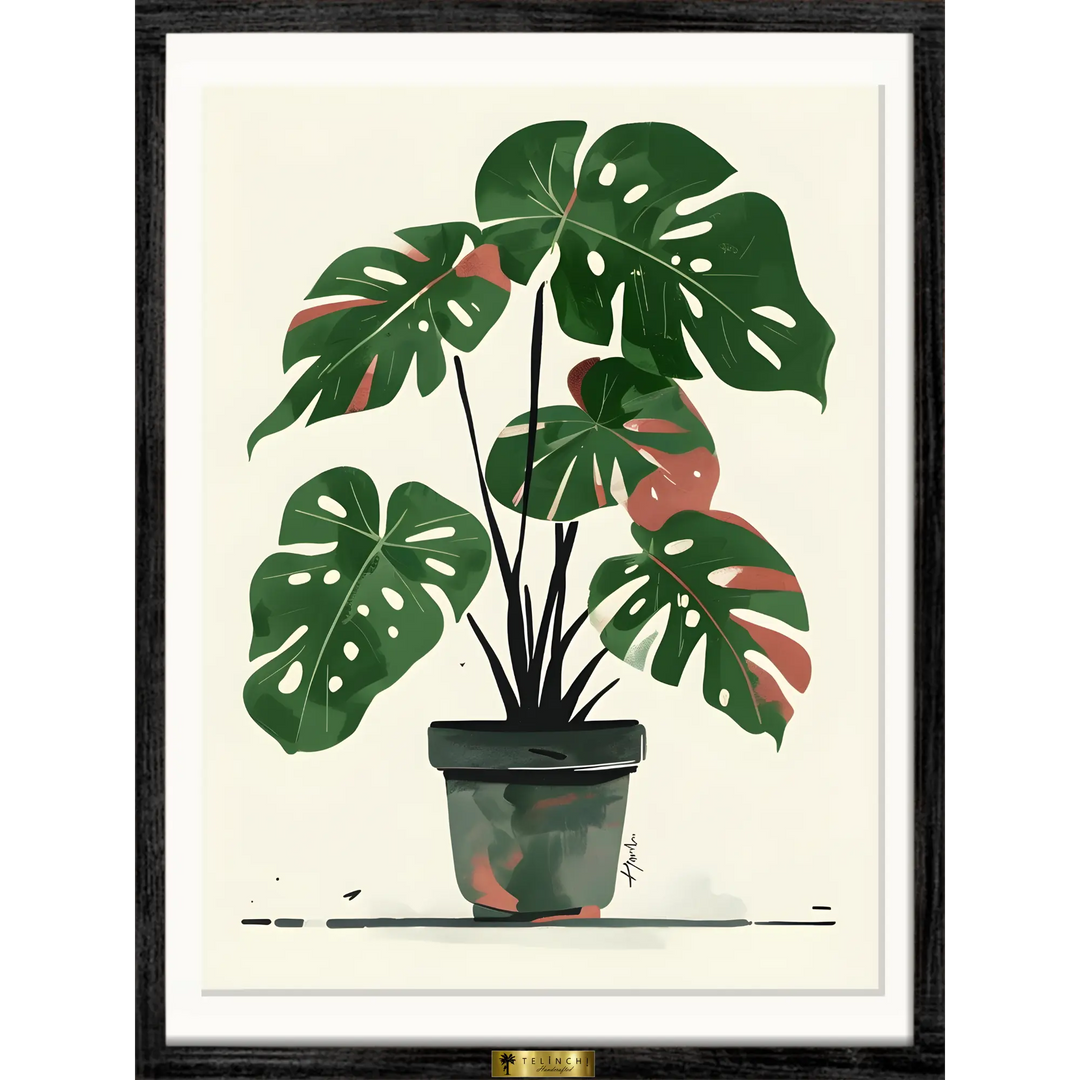 Monstera Muse