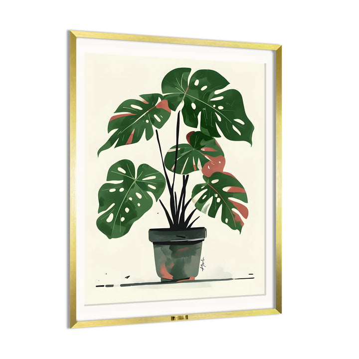 Monstera Muse