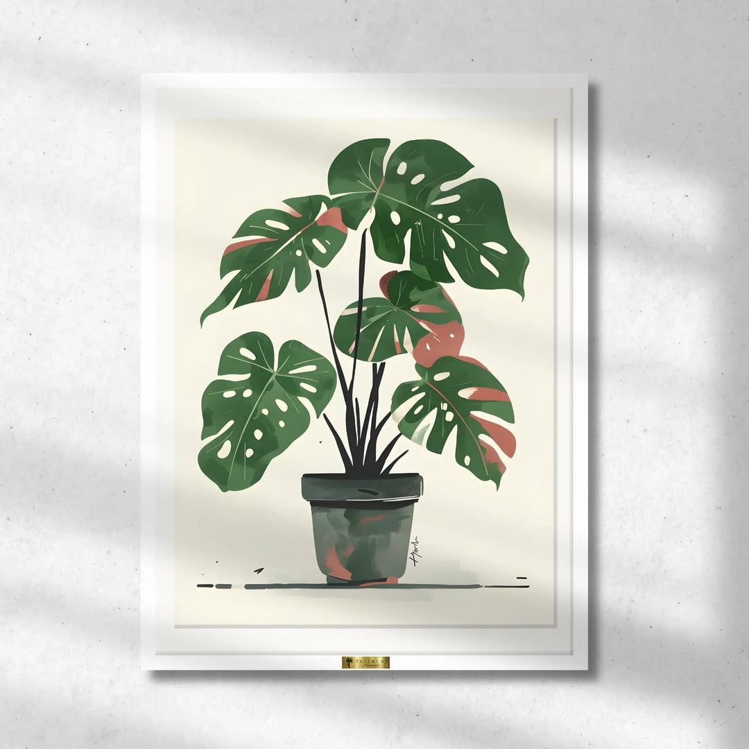 Monstera Muse
