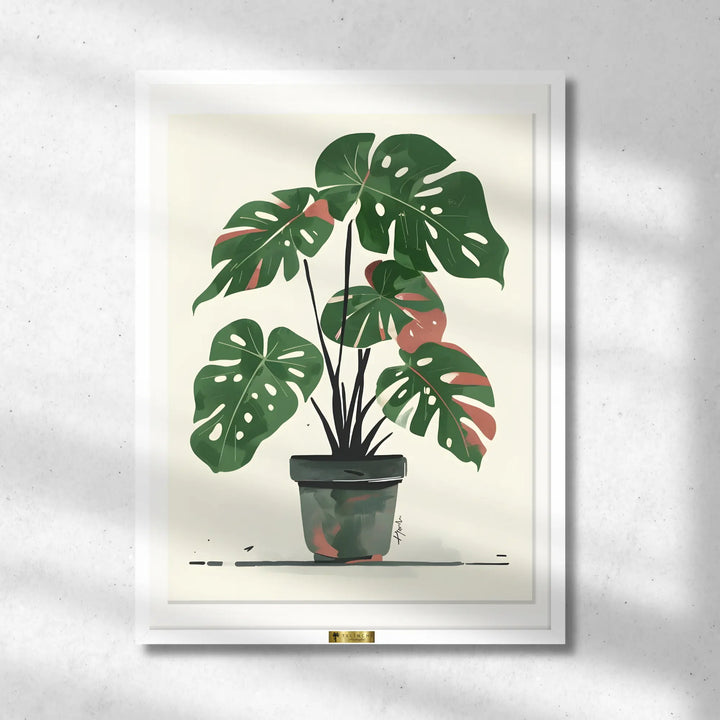 Monstera Muse