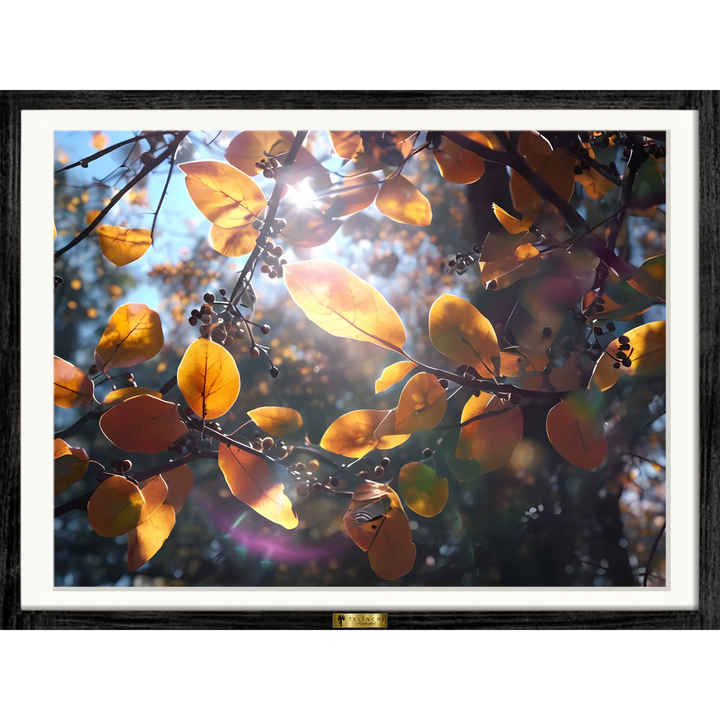 Golden Serenity – Autumn Light