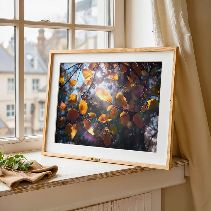 Golden Serenity – Autumn Light