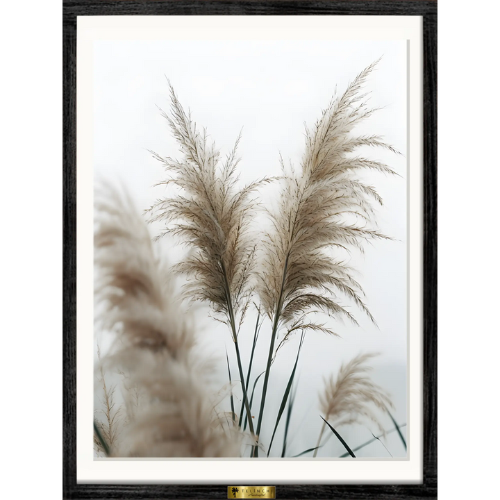 Feathered Dreams