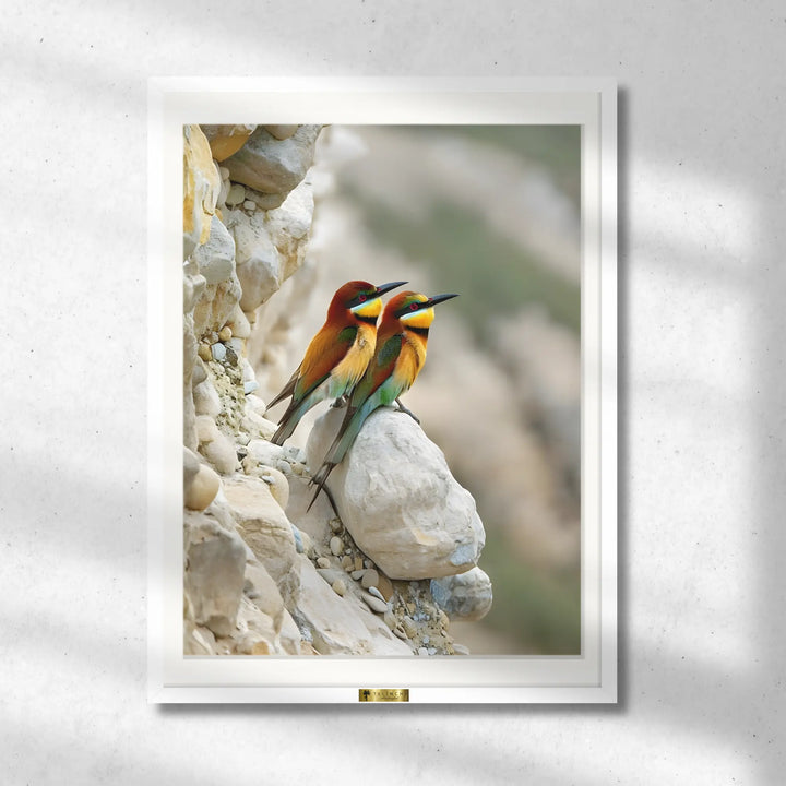 Cliffside Companions