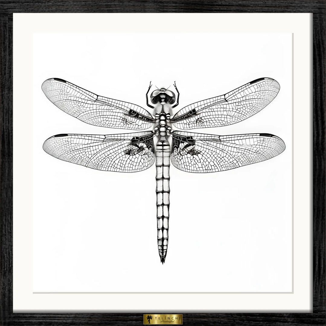 Dragonfly's Details