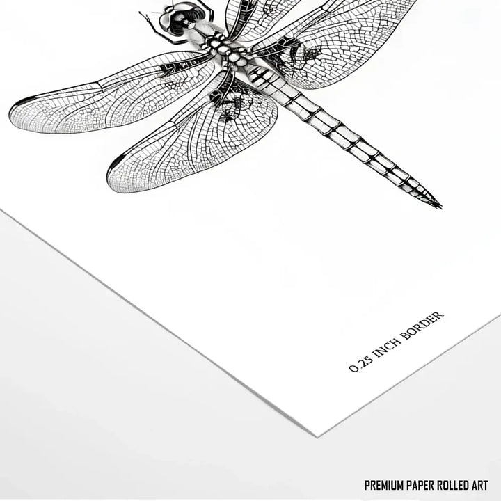 Dragonfly's Details