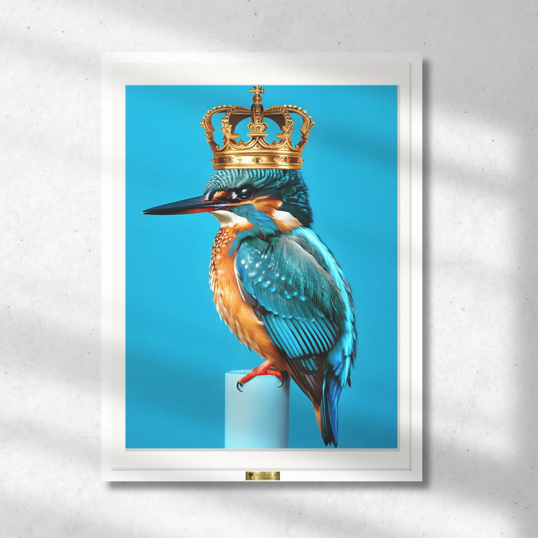 Regal Kingfisher