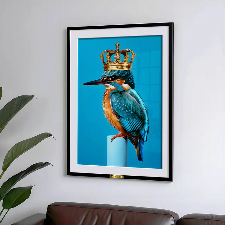 Regal Kingfisher