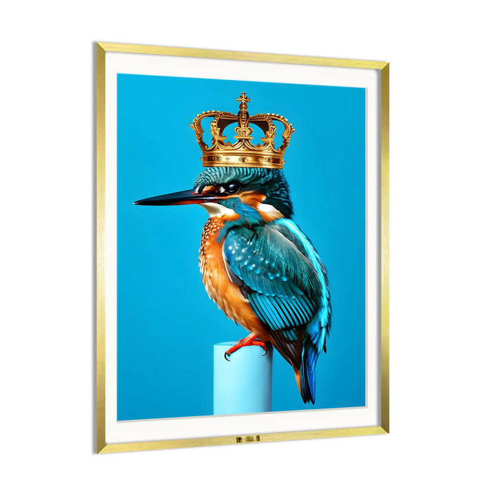 Regal Kingfisher