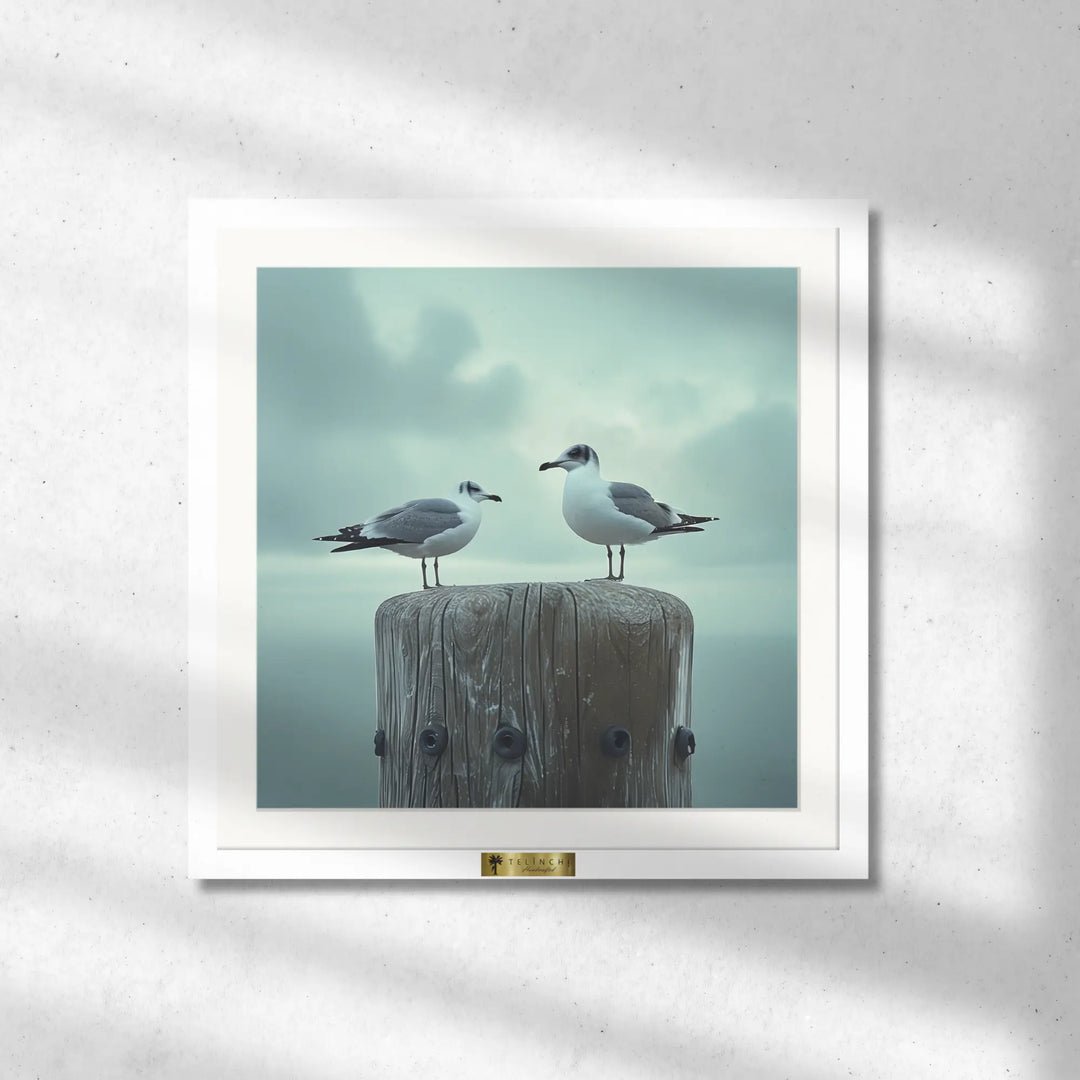 Seagull Serenity