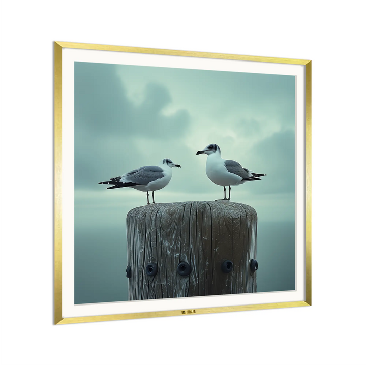 Seagull Serenity