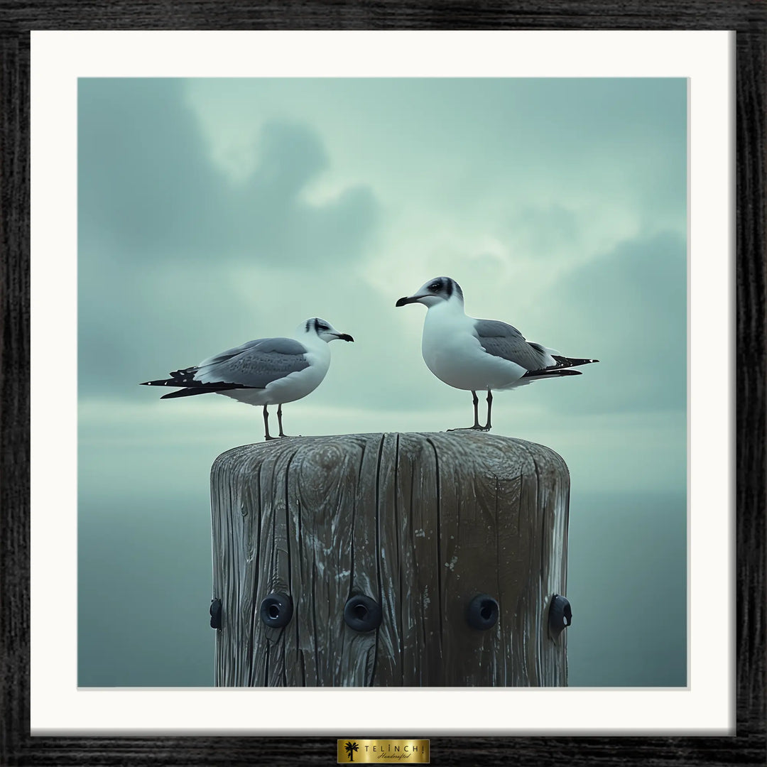 Seagull Serenity