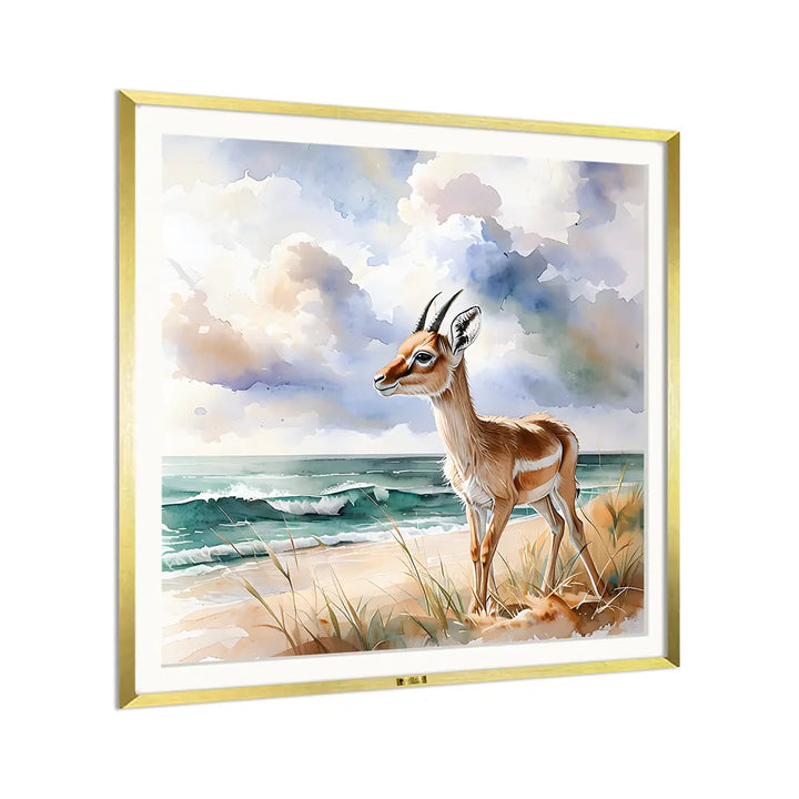 Antelope on Shore
