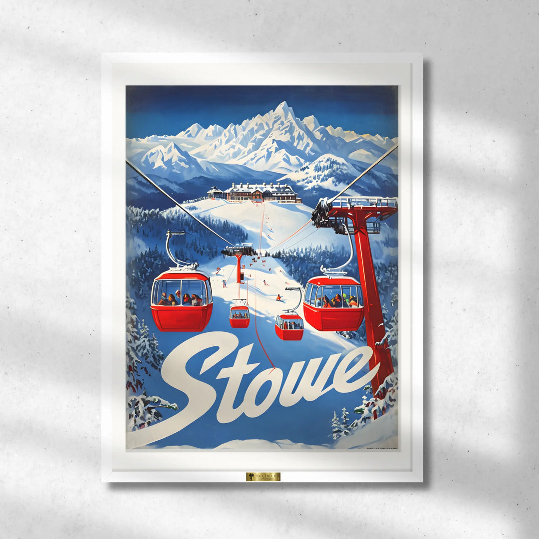 Snowy Adventures
